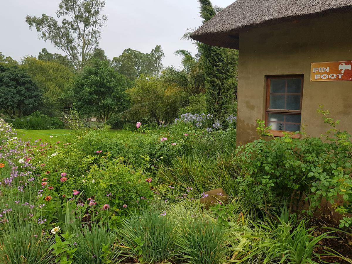 Avoca River Cabins Addo Exterior foto